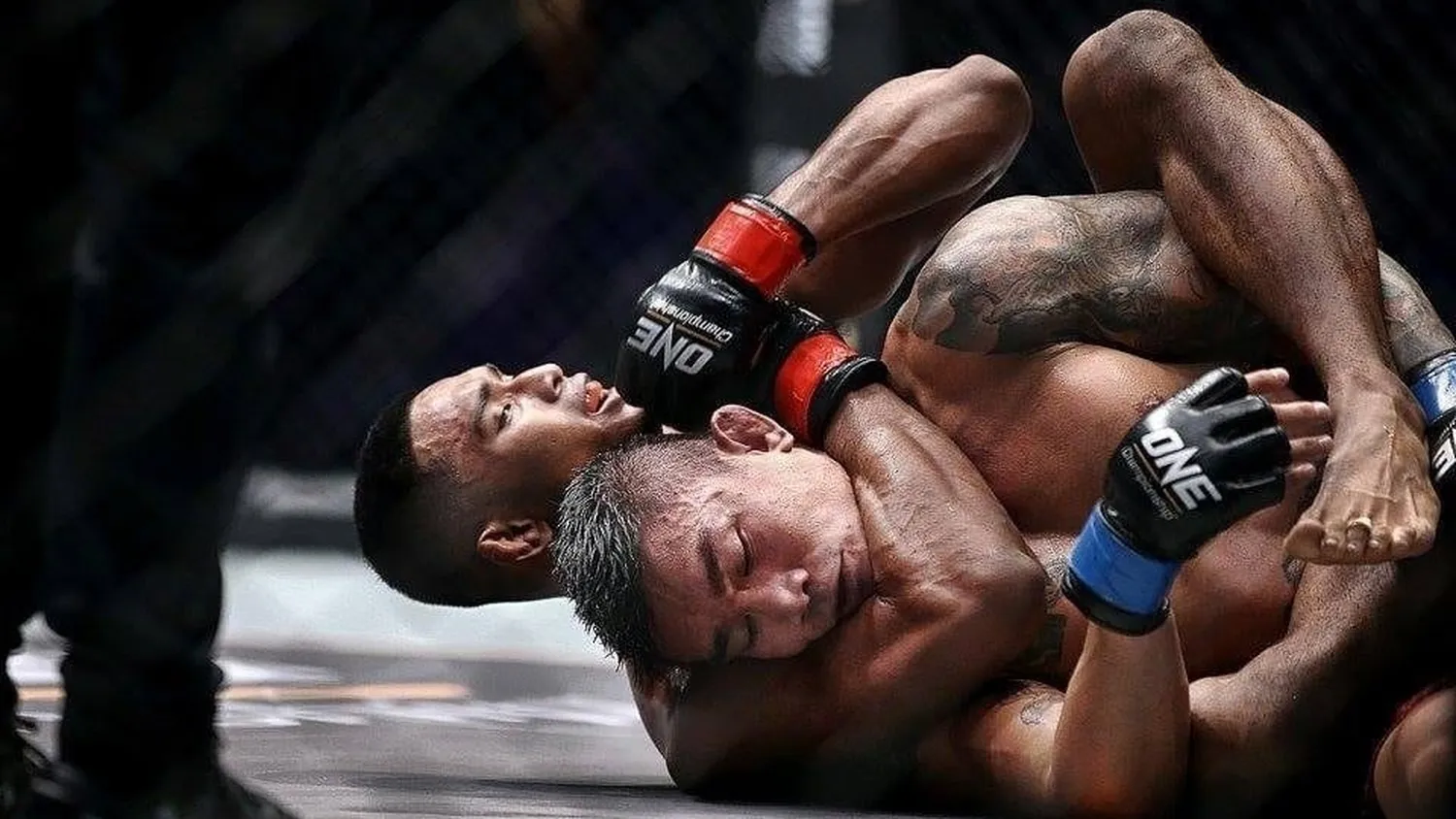Best mma techniques for beginners - Mixed Martial Arts training and basic moves