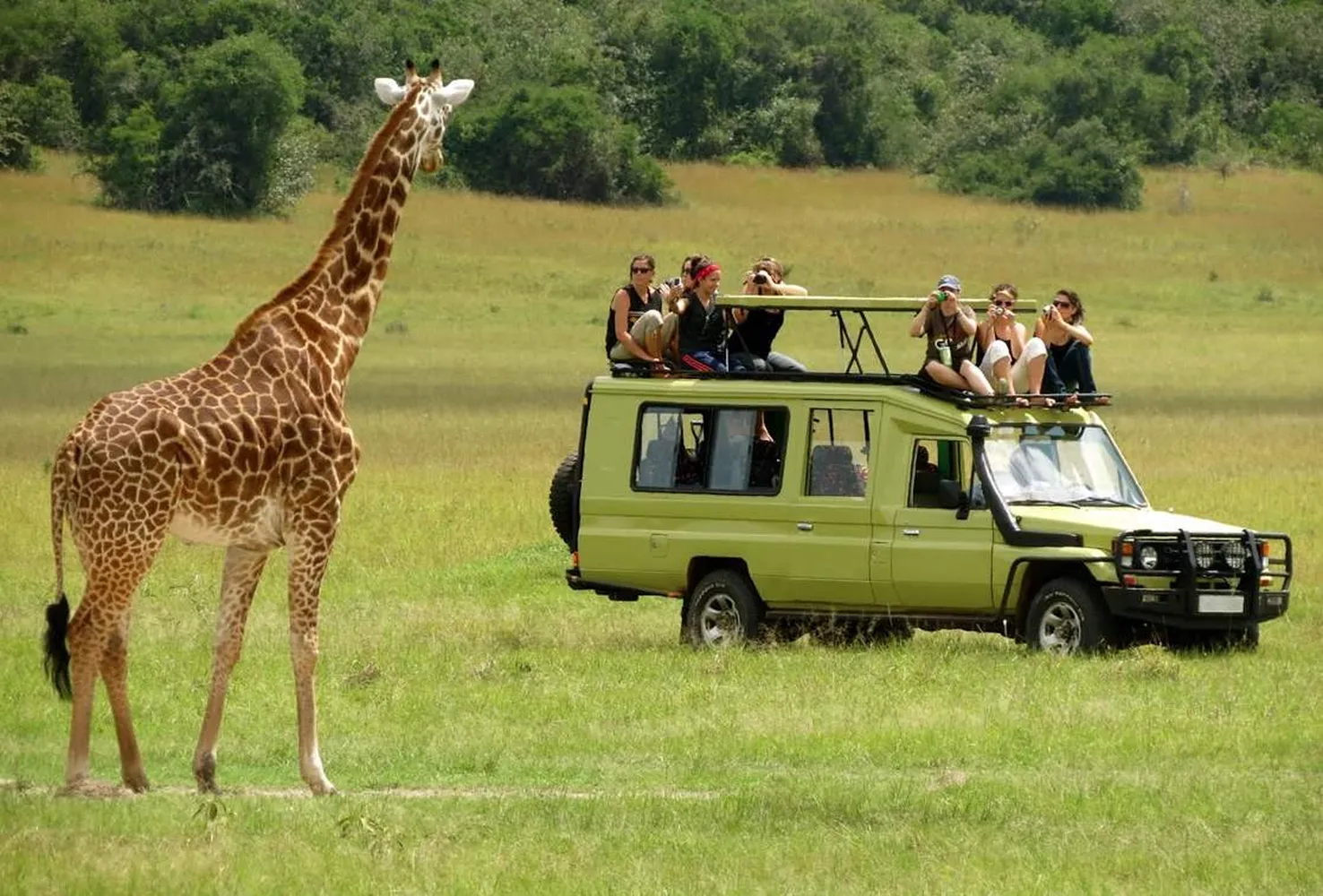 Capable Africa Tours customized 4x4 land cruiser on a game drive tracking the Big Five