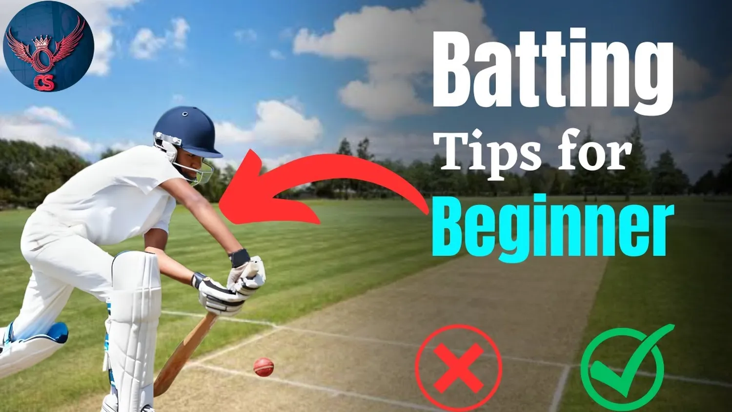 Cricket batting tips for beginners - Professional stance and grip technique
