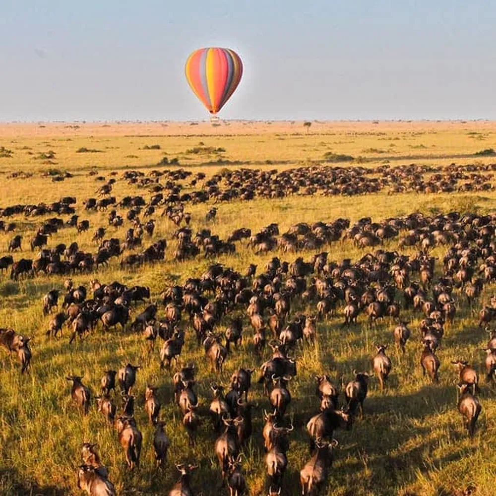 How to add a hot air balloon to 6 days safari in Serengeti National Park Tanzania