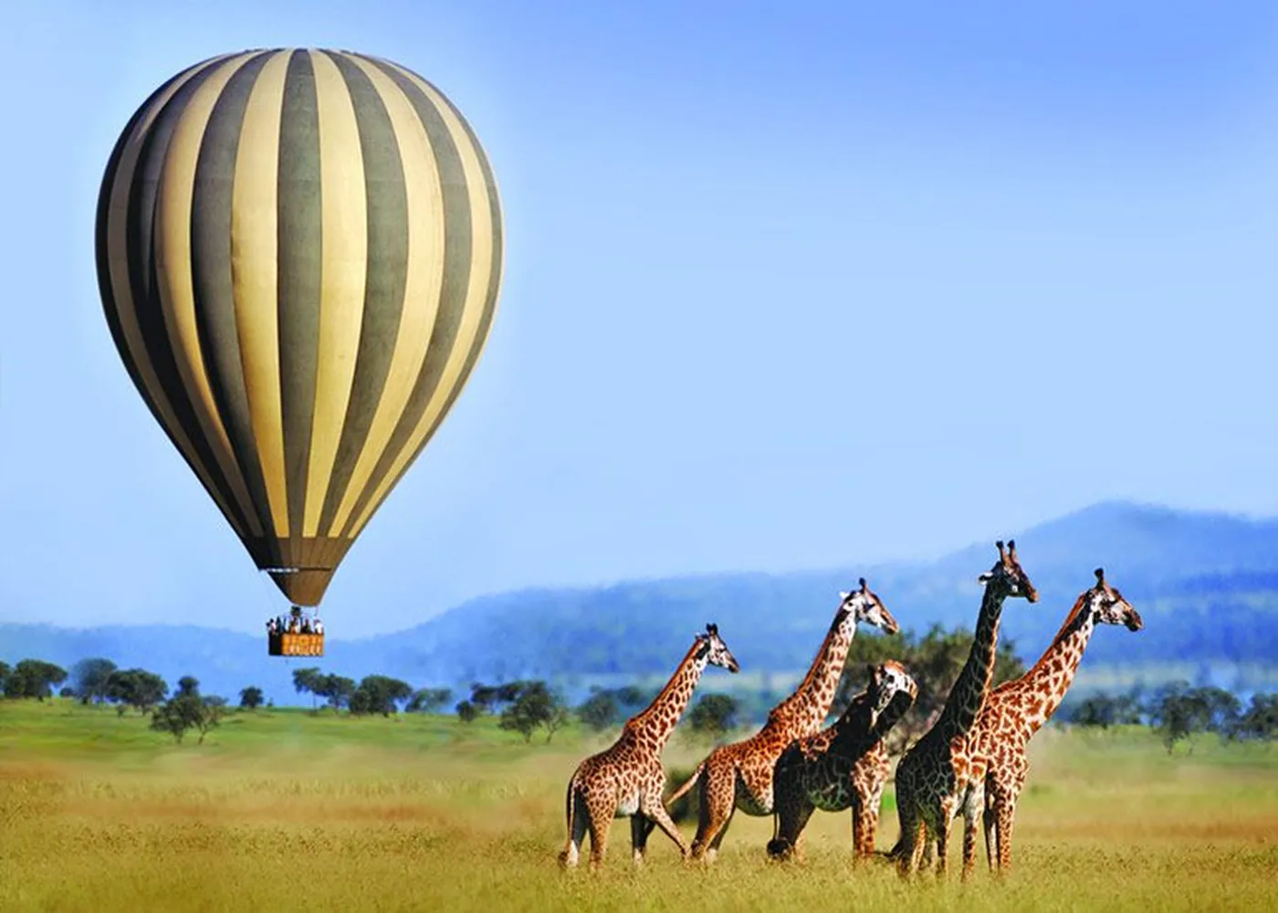 How to arrange 6 days of luxury balloon safaris - Serengeti hot air balloon over wildebeest migration