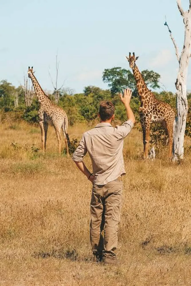 How to assess a 6 day luxury safari quote - step-by-step breakdown of high-end travel itineraries