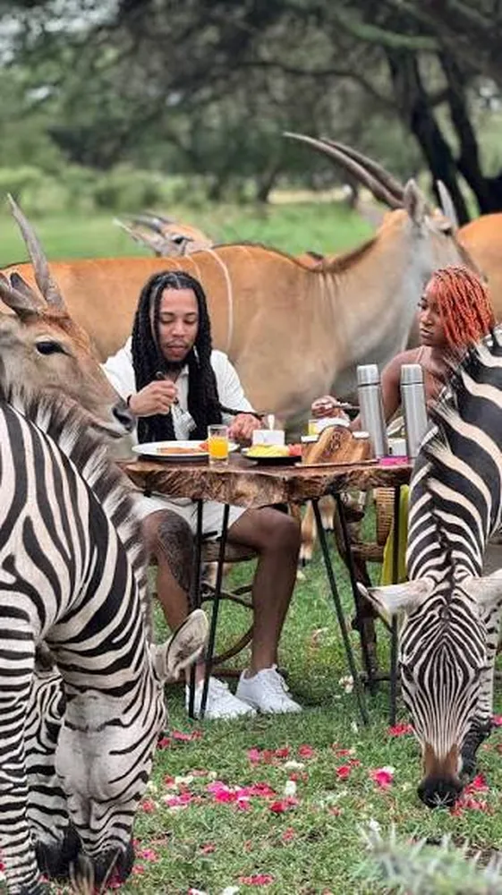 How to book fine dining experiences on a 7 day Tanzania safari gourmet bush dinner