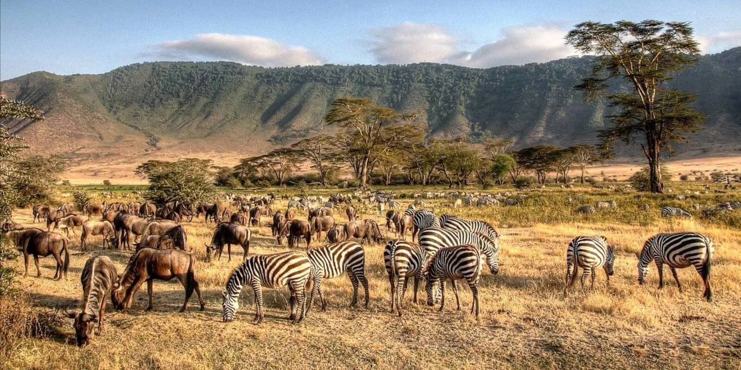 How to book top rated luxury safari operators for Serengeti and Ngorongoro high end wilderness experiences