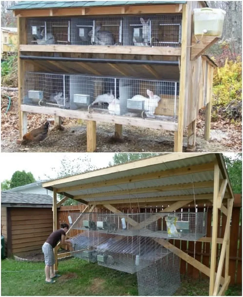 How to build a cheap rabbit hutch - affordable and easy homemade wooden rabbit habitat layout