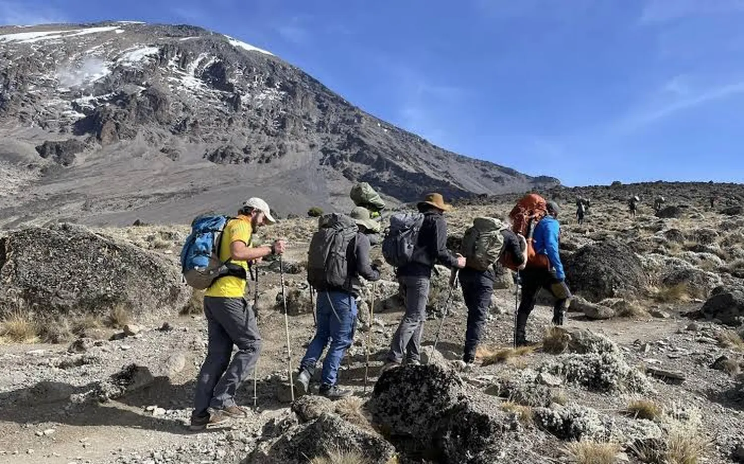 How to choose Mount Kilimanjaro climbing companies with high success rate - Trekkers hiking up peak