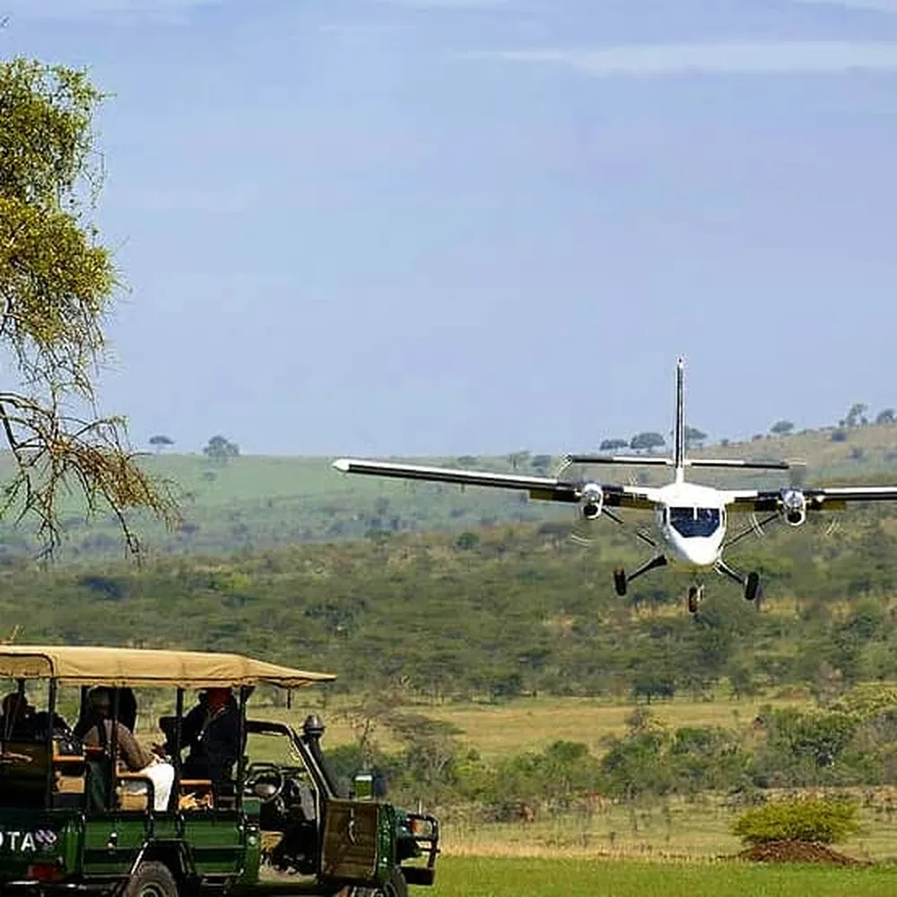 How to choose safe and licensed domestic safari flight agencies in Tanzania