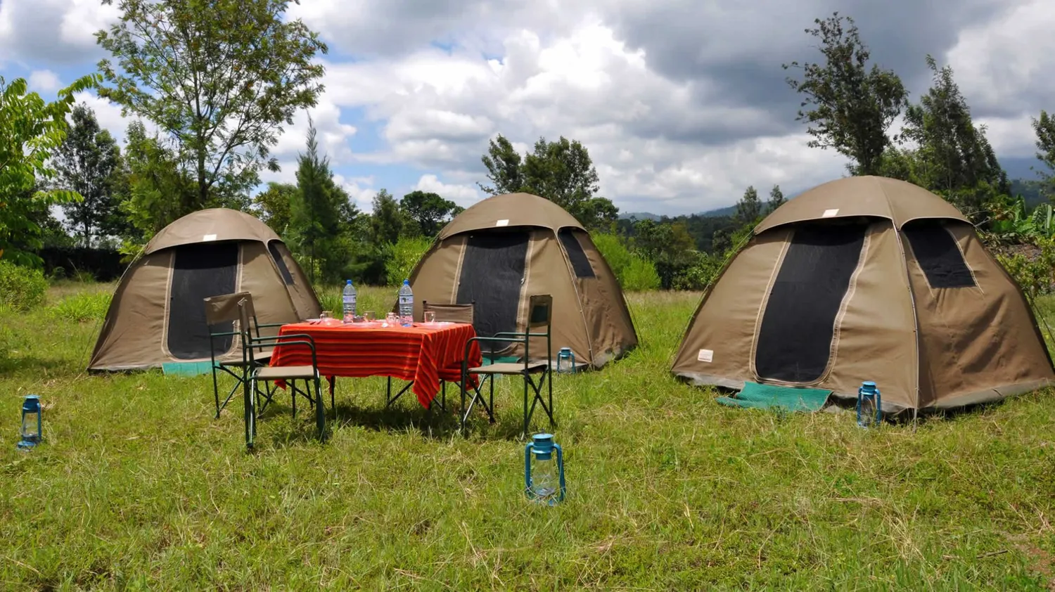 How to choose the best budget safari companies in Tanzania for solo travelers exploring wildlife safely