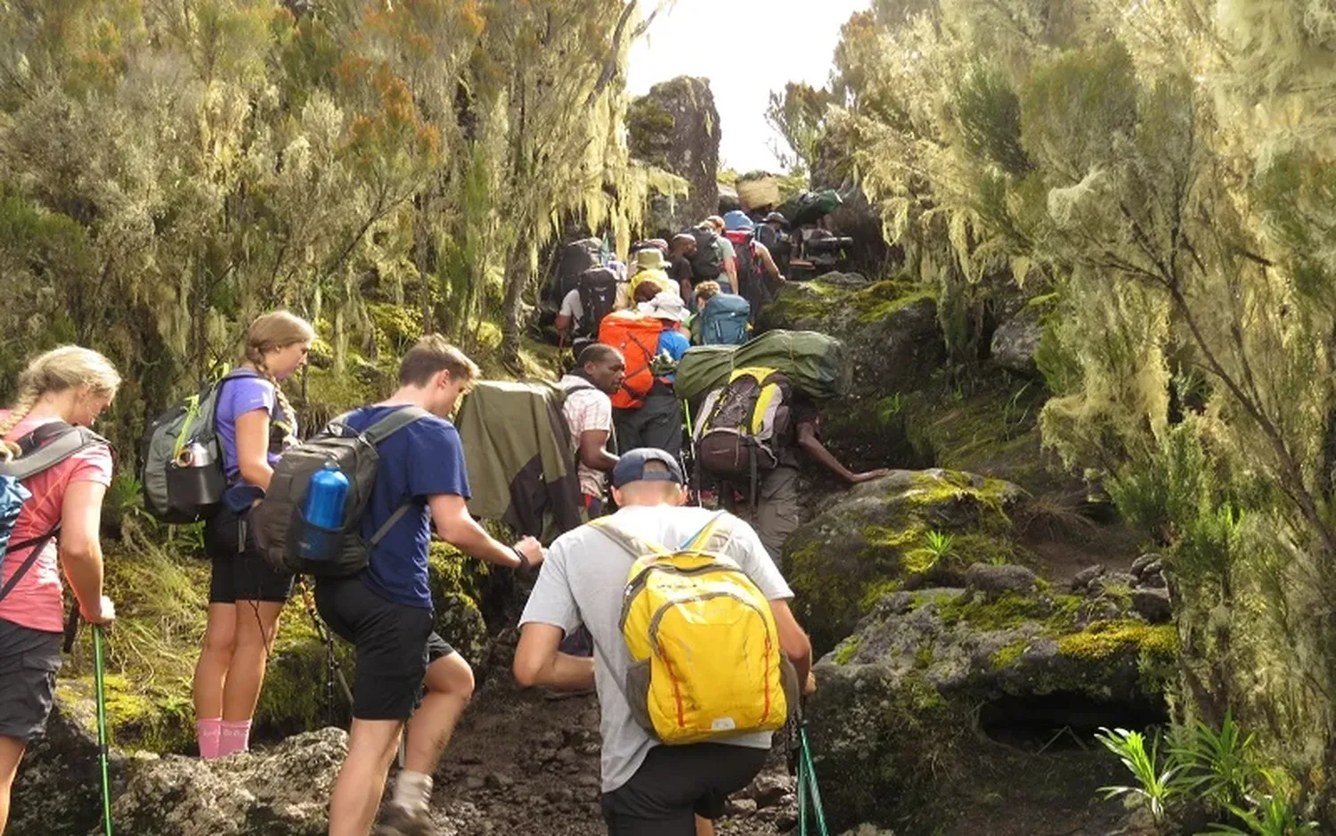 How to choose the best Machame path expedition leaders for hikers on Mount Kilimanjaro