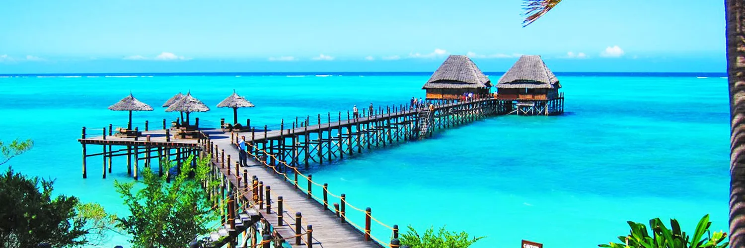 How to choose the perfect season for a Zanzibar beach holiday after your safari - Tropical palm trees along white sand beaches