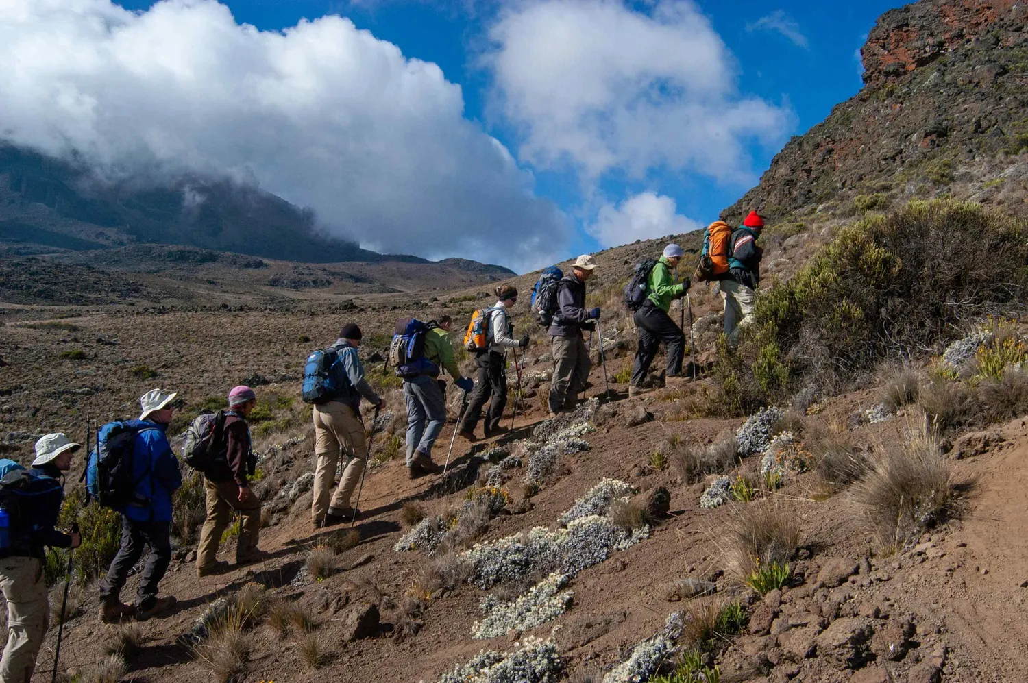 How to climb Mount Kilimanjaro via the Lemosho route for beginners - Scenic trek view