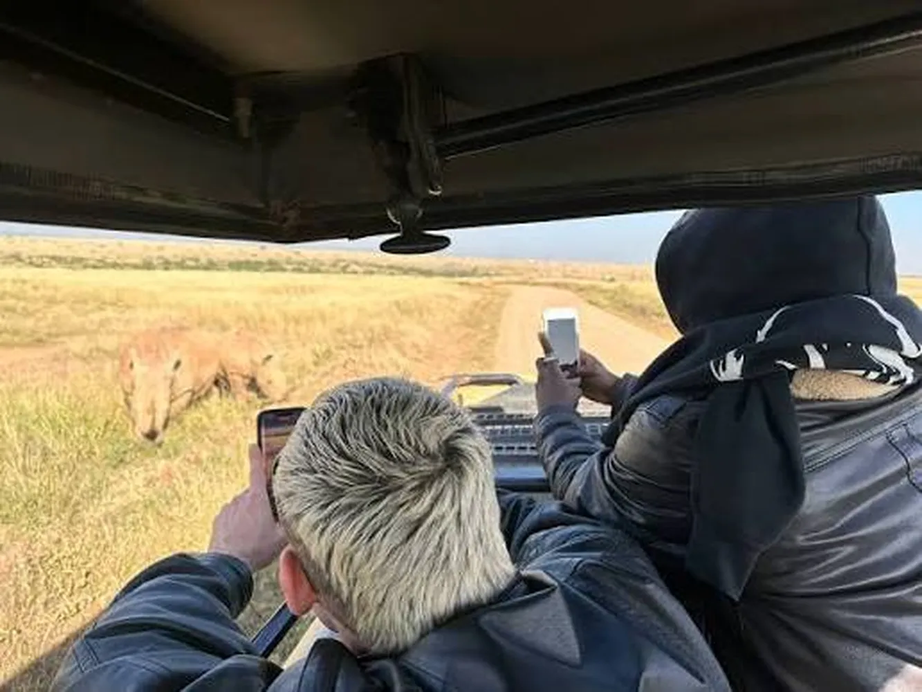 Comparing pricing quotes between local ground handlers and global travel agents for East African safaris