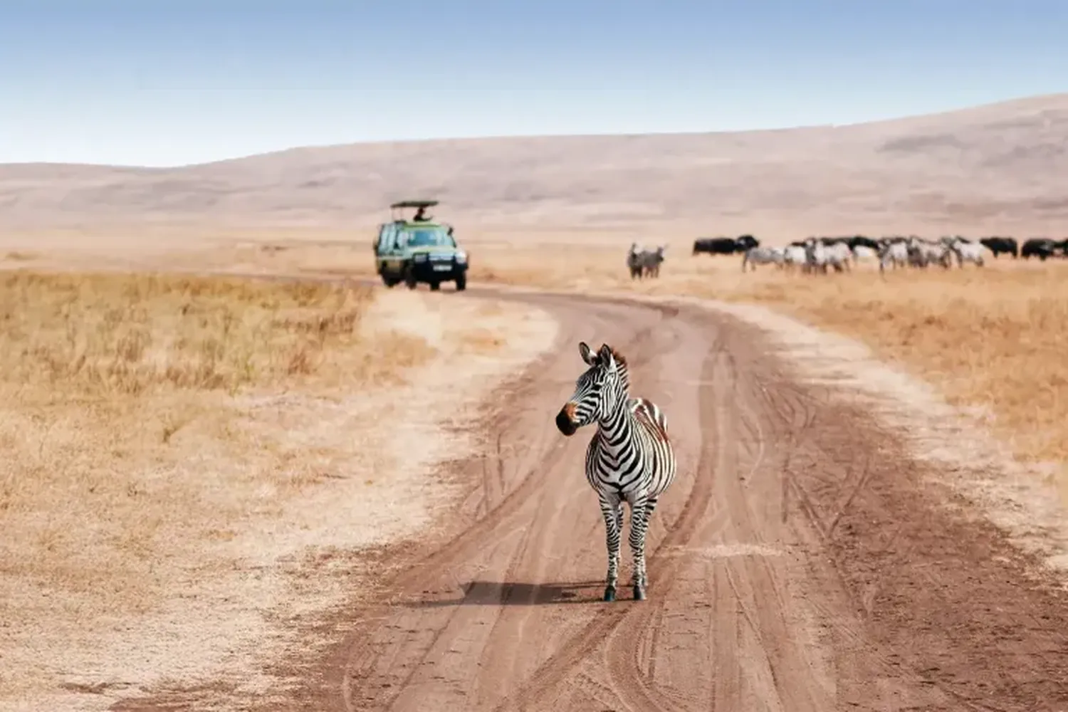 4x4 Safari Land Cruiser navigating Serengeti National Park in Tanzania