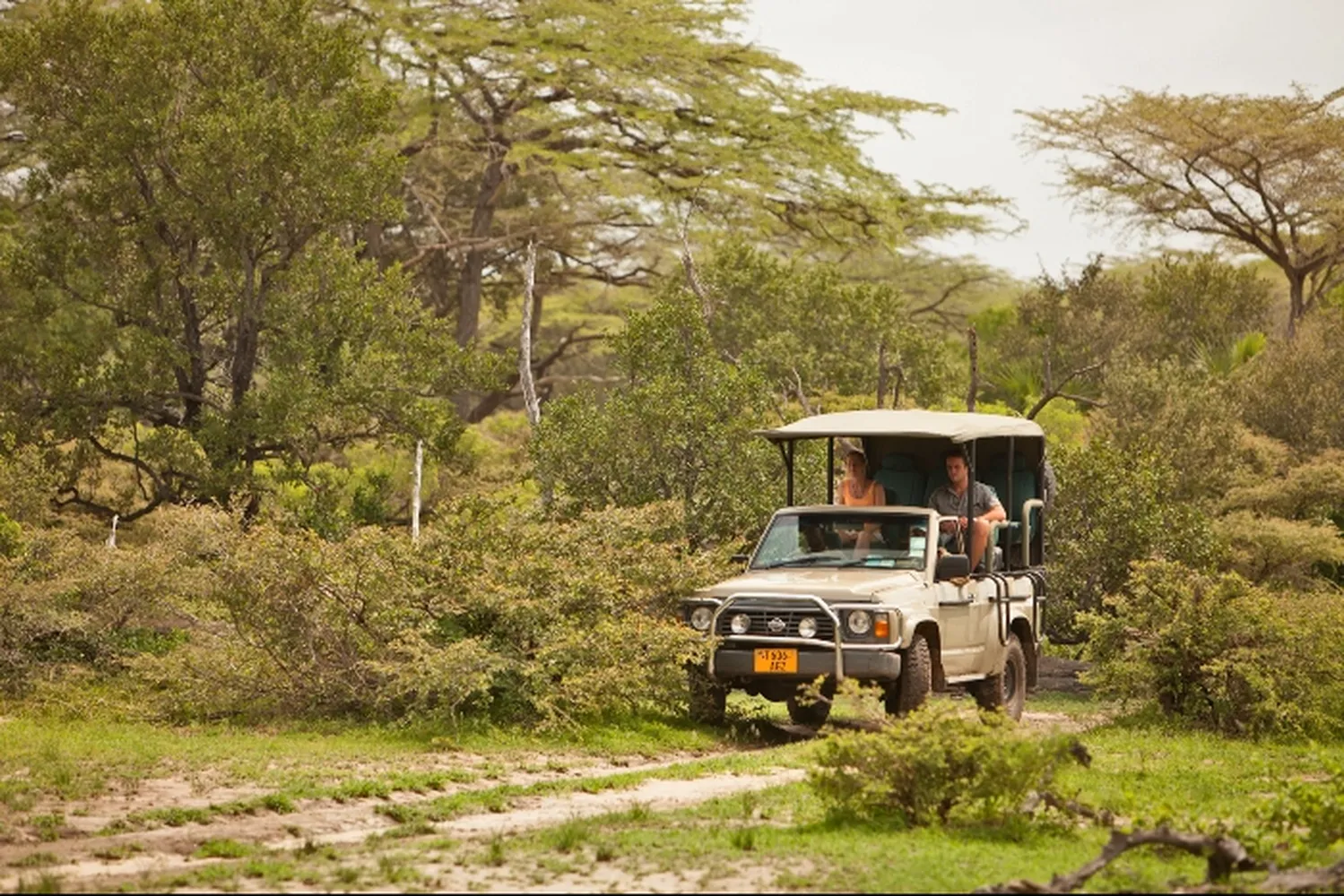 How to customize 6 days of exclusive game drives - Private 4x4 safari Land Cruiser in Serengeti
