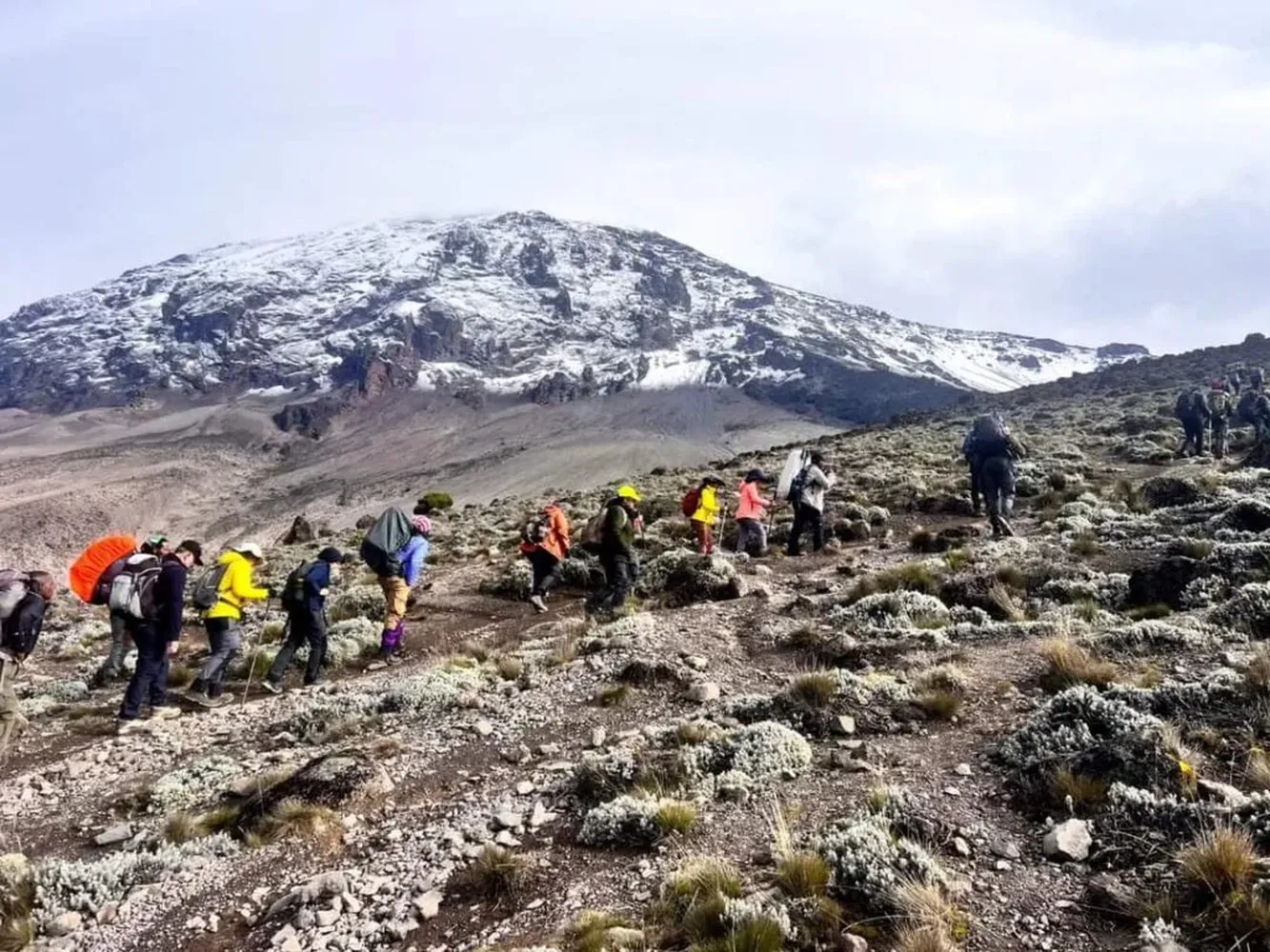 How to evaluate a Rongai route Kilimanjaro review - trekking trail perspective