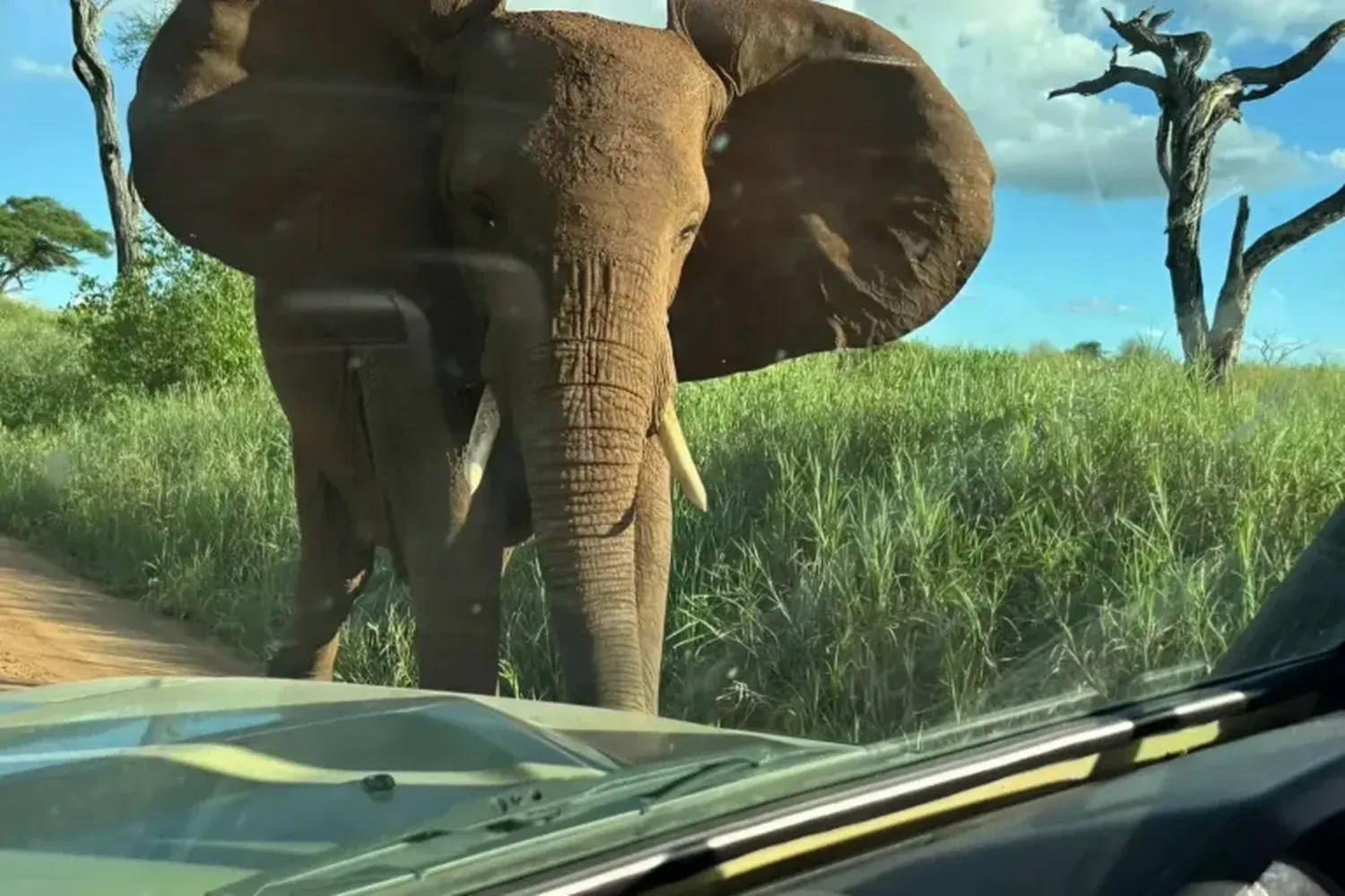 How to experience a truly regenerative eco safari in Tanzania - sustainable solar powered safari camp