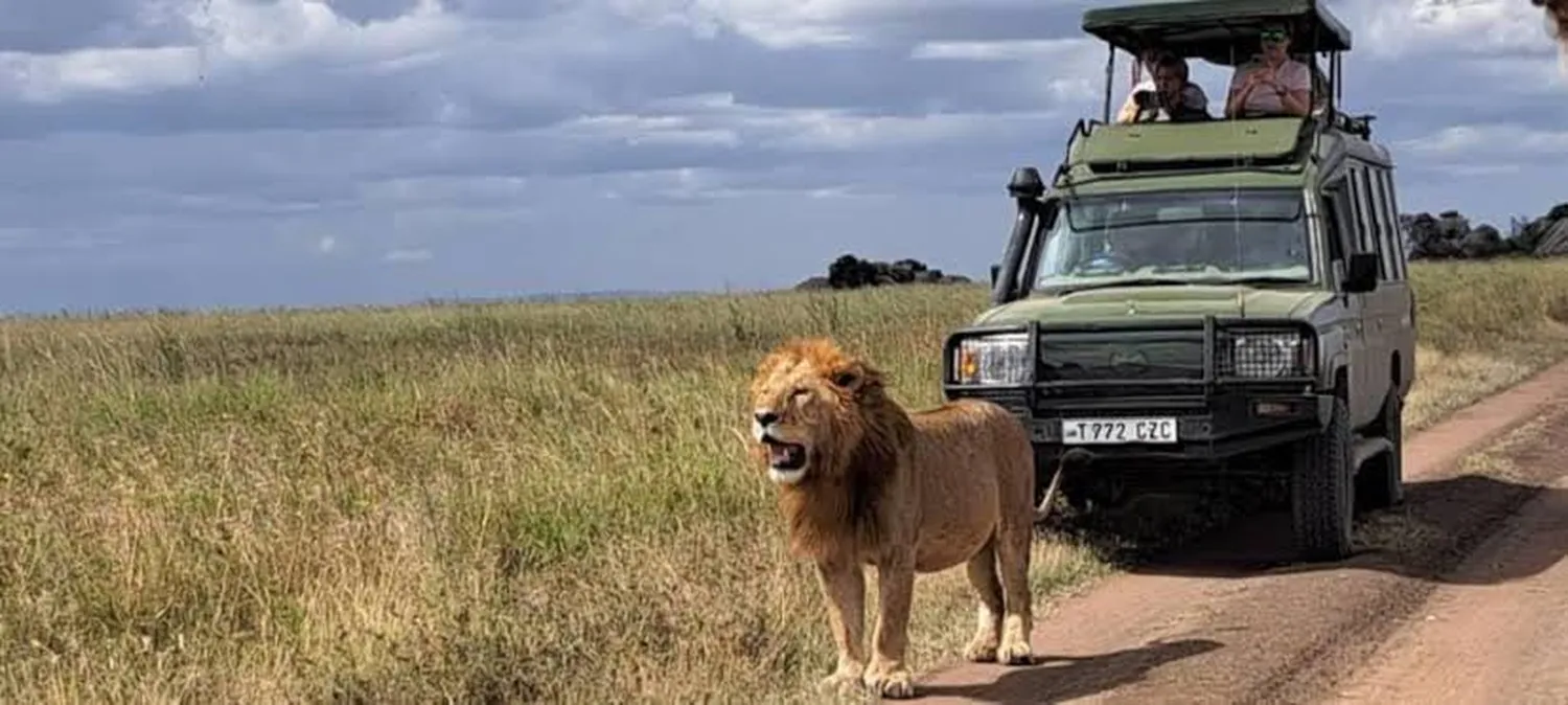 How to experience the dry season in a 7 day serengeti tour featuring wildlife around waterholes