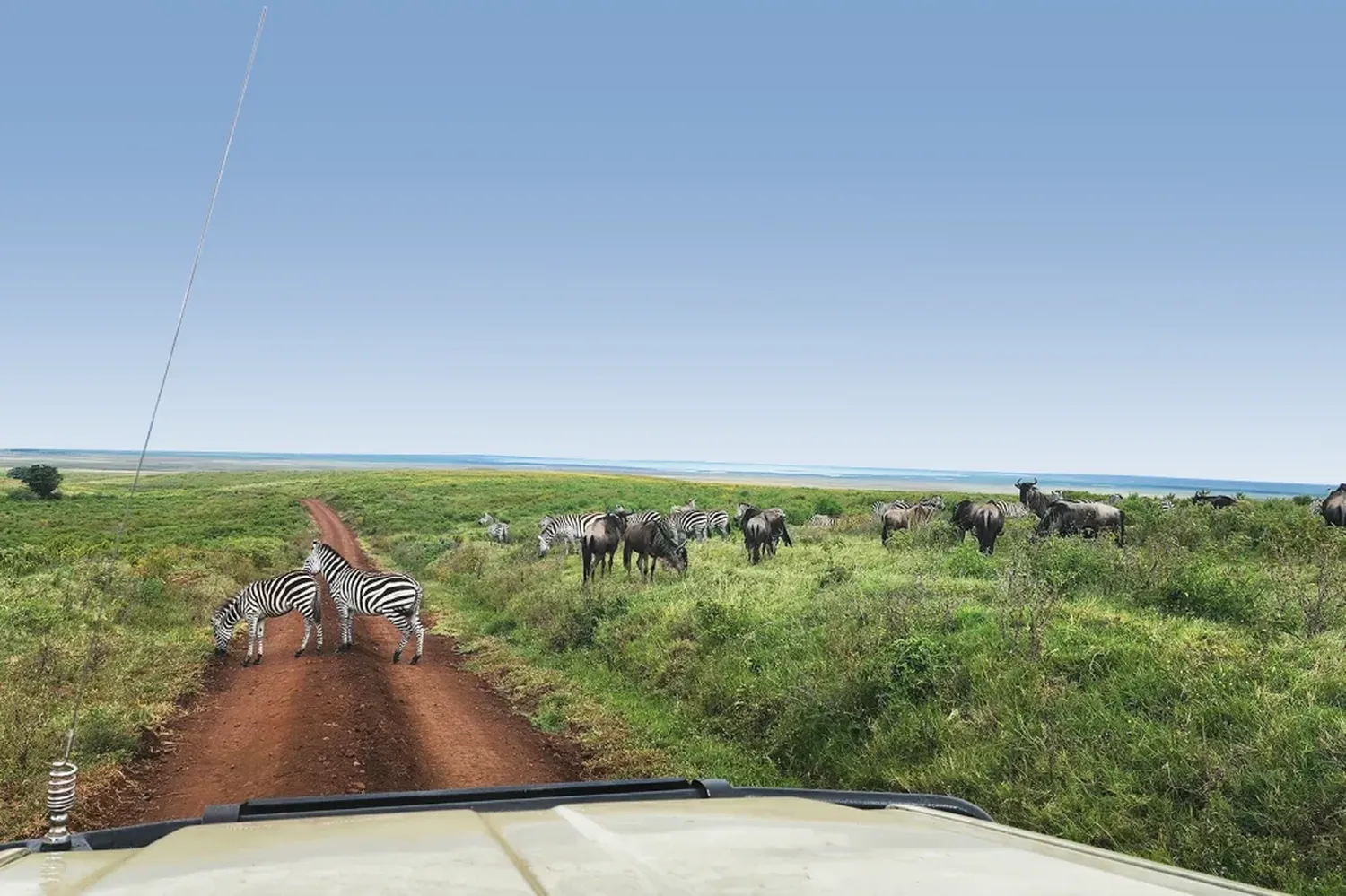 how to find the average price for 8 days luxury tanzania safari package for two