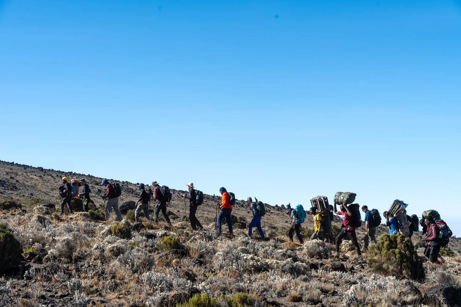 How to find trusted mountain climbing guides for the Marangu route - Checklist and Verification Steps