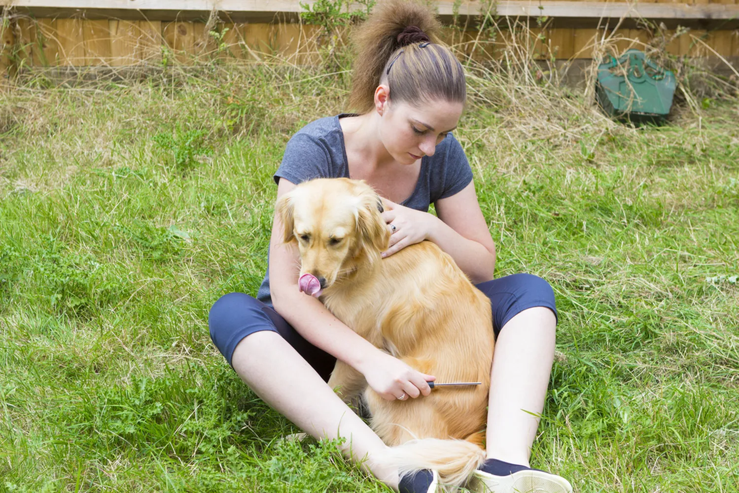 How to get rid of fleas on puppies naturally using a comb and warm water bath