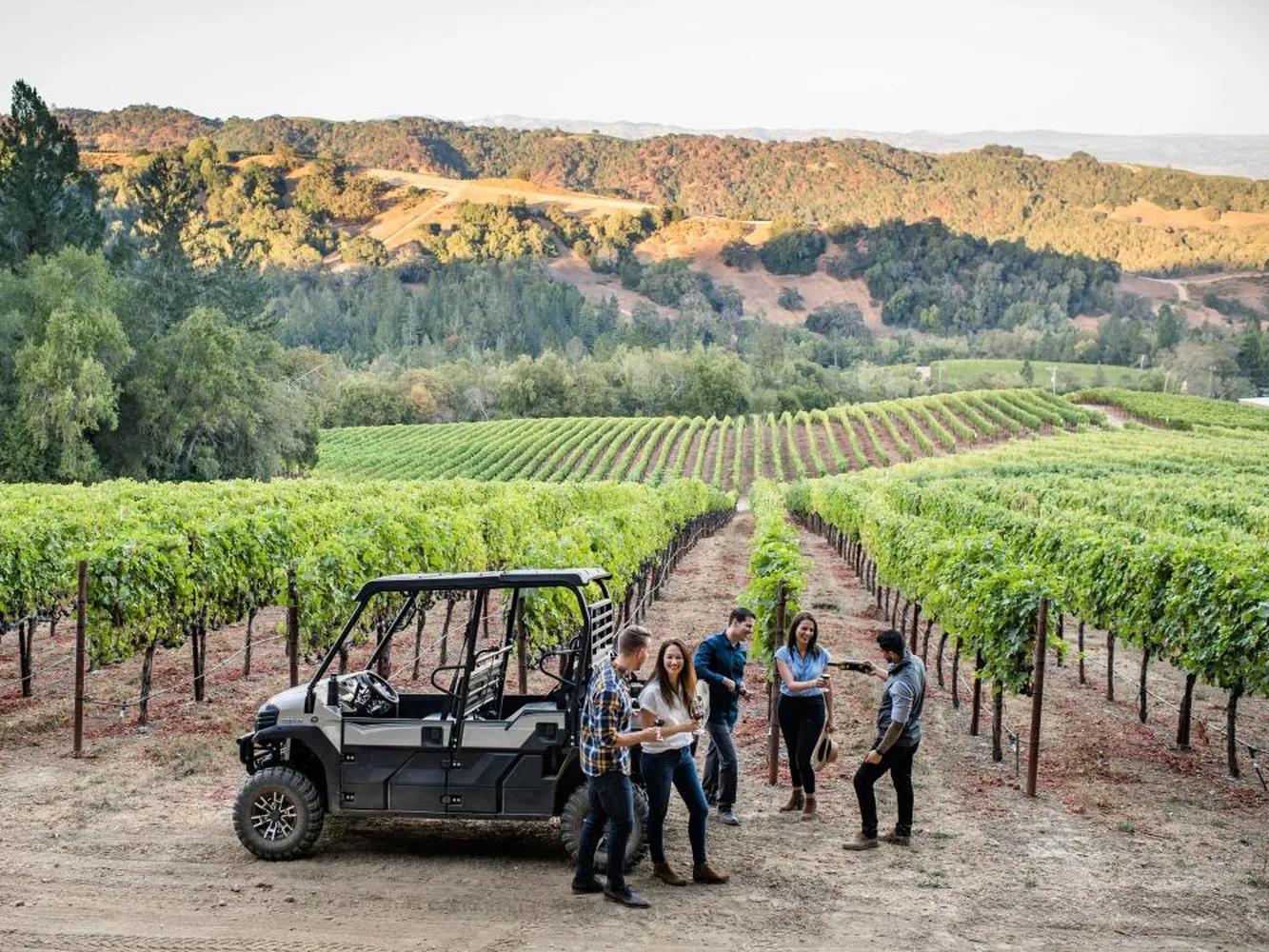 How to go wine tasting in Napa Valley California - beautiful sunlit vineyard rolling hills with wine barrels