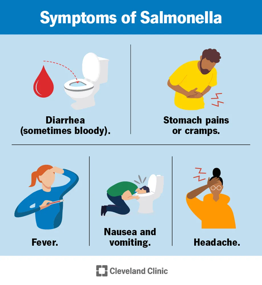 Salmonella Diagnosis Guide