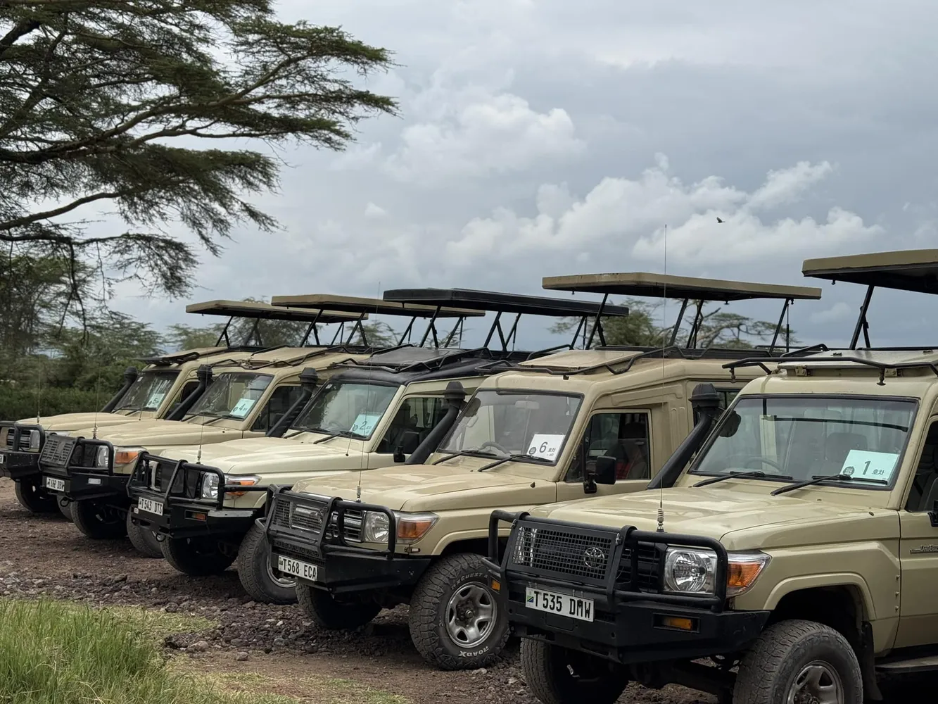 How to identify the best Tanzanian tour companies owned by locals