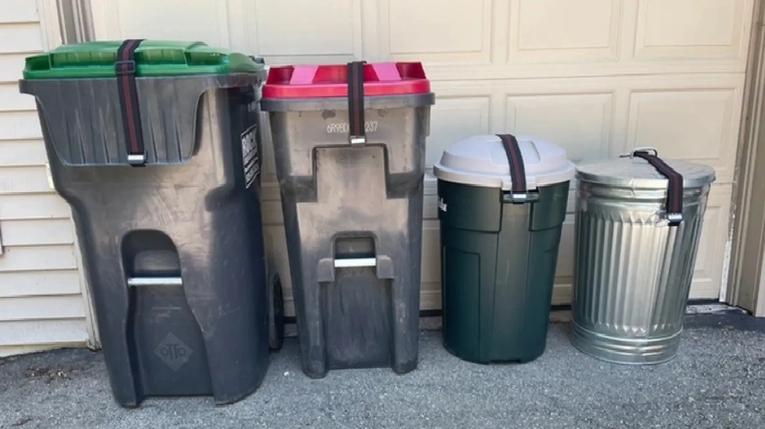 How to keep raccoons out of your trash cans using locks and secure bin strategies