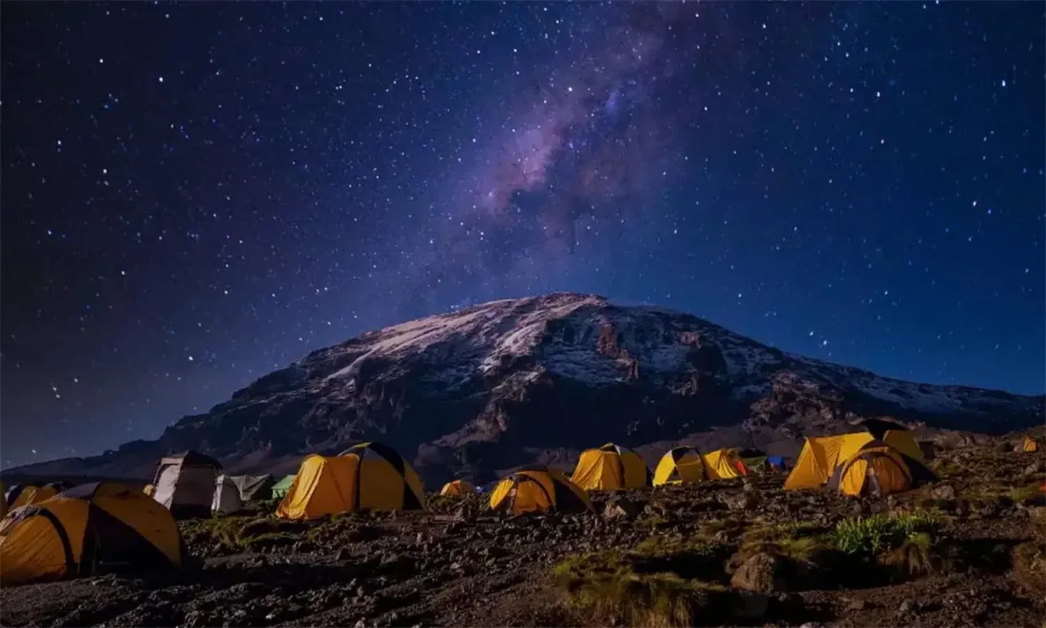 How to plan a 6 day safari around moon phases - complete lunar cycle safari planning guide