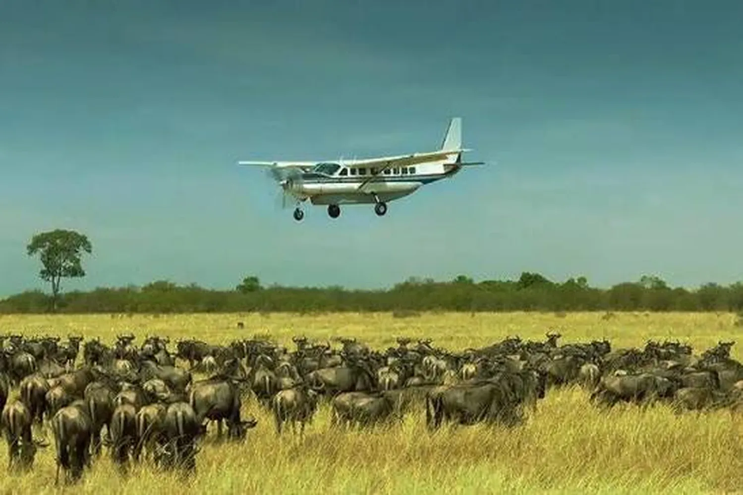How to plan a 7 day fly in safari from zanzibar to serengeti - aircraft landing in Serengeti wilderness