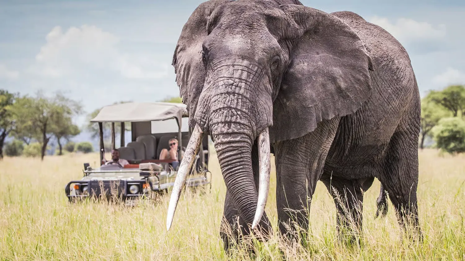 How to plan a budget-friendly Tanzania safari during the low green season with affordable accommodation and dramatic wilderness landscapes