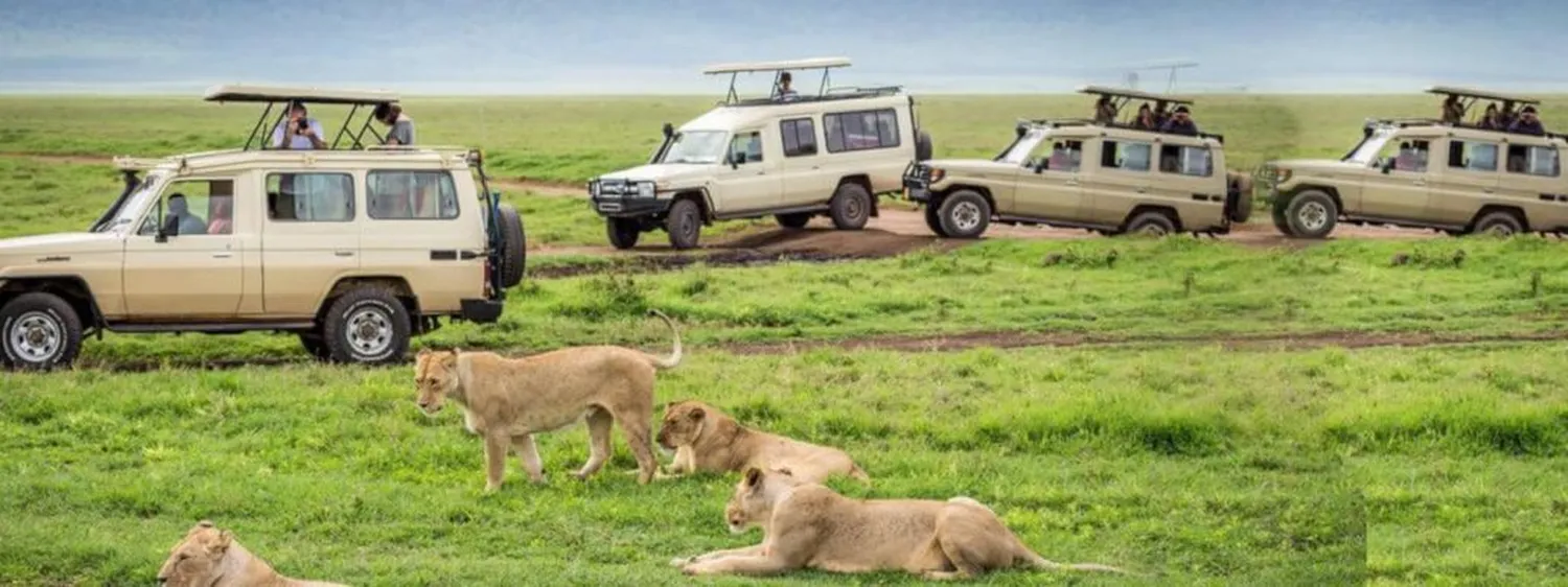 How to plan a self-drive safari in Tanzania - 4x4 vehicle traversing the rugged savannah plains