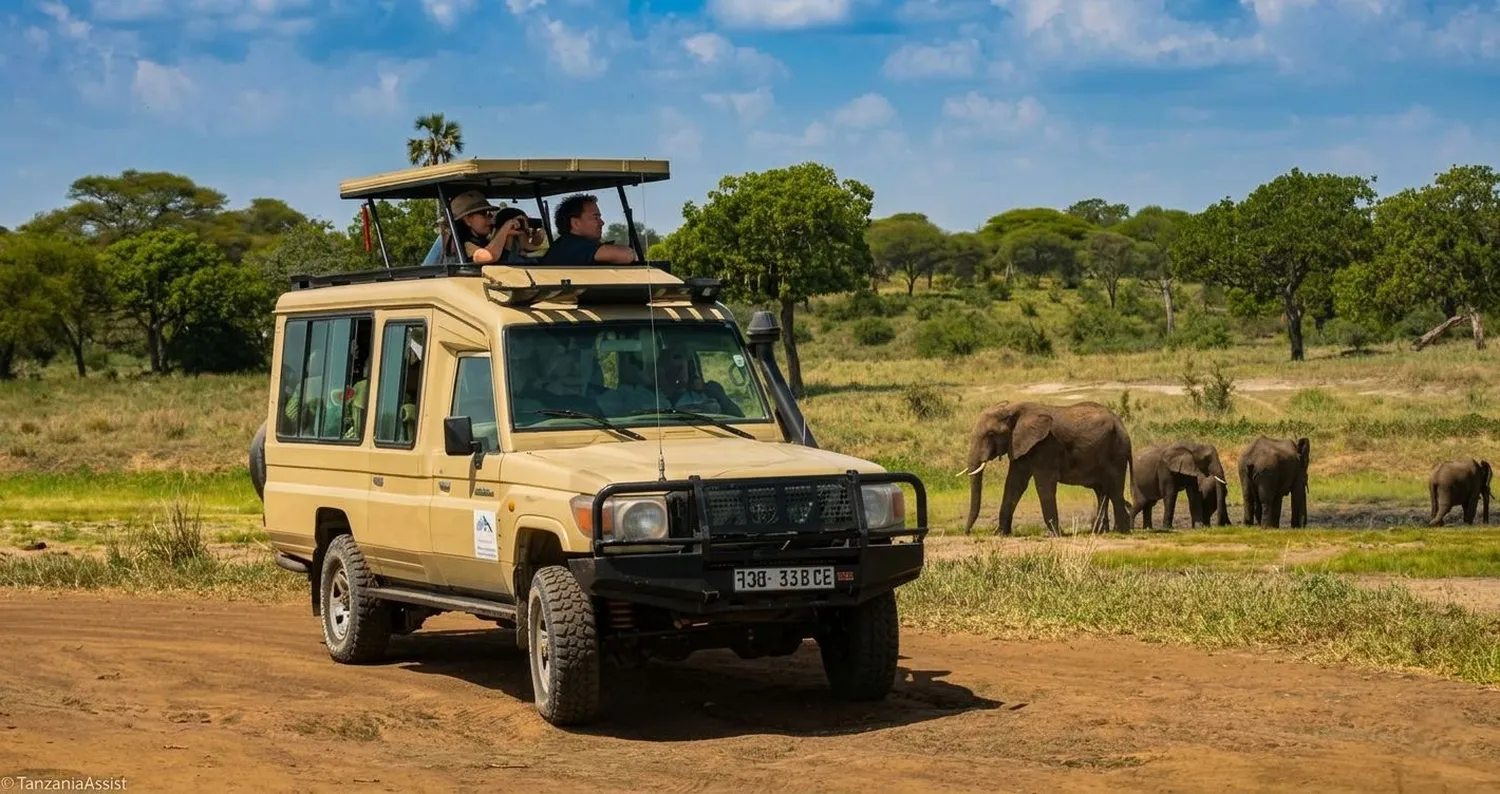 How to plan an 8 day luxury safari in tanzania northern circuit with high end vehicles and premium lodges