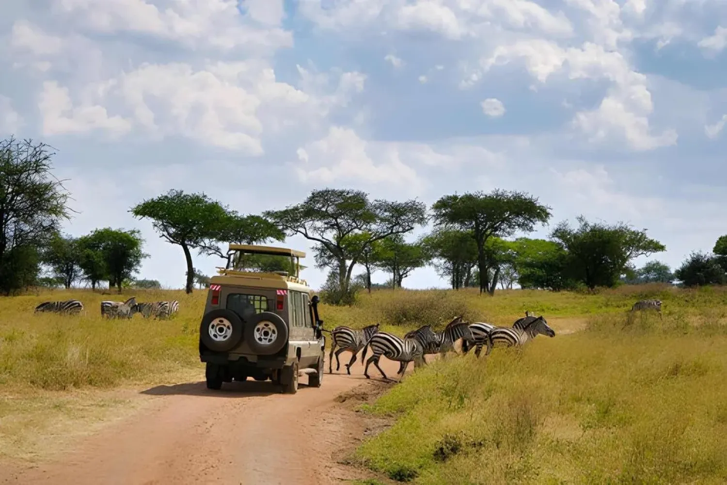 How to plan a Tanzania Southern Circuit safari to avoid crowds - remote wilderness tracking