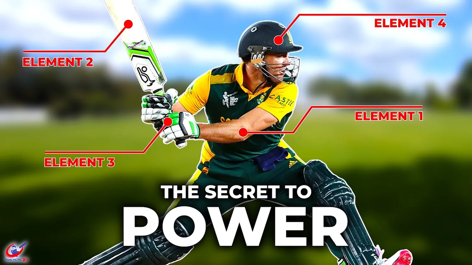 How to play cricket like a pro - elite training and techniques