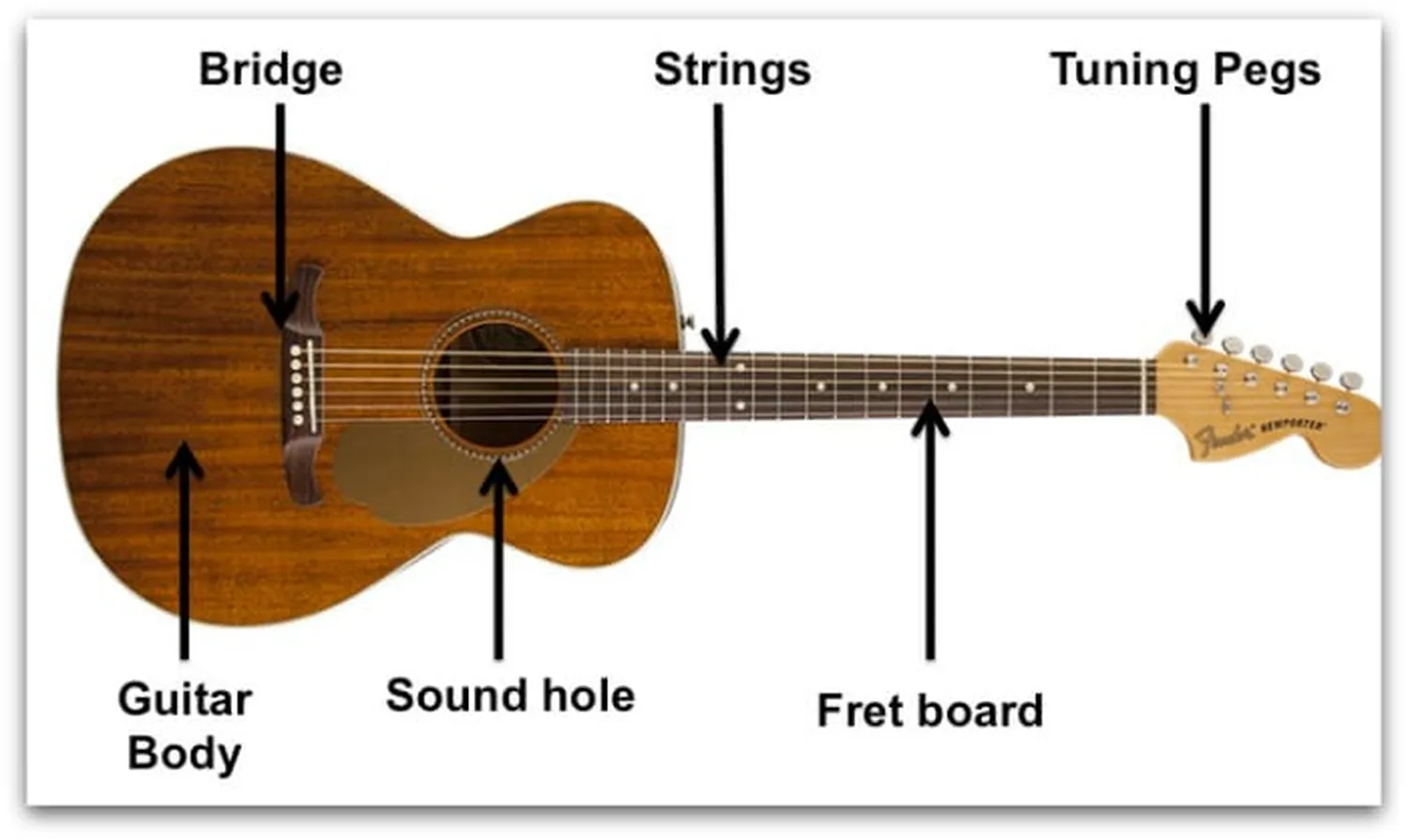 Guitar Guide