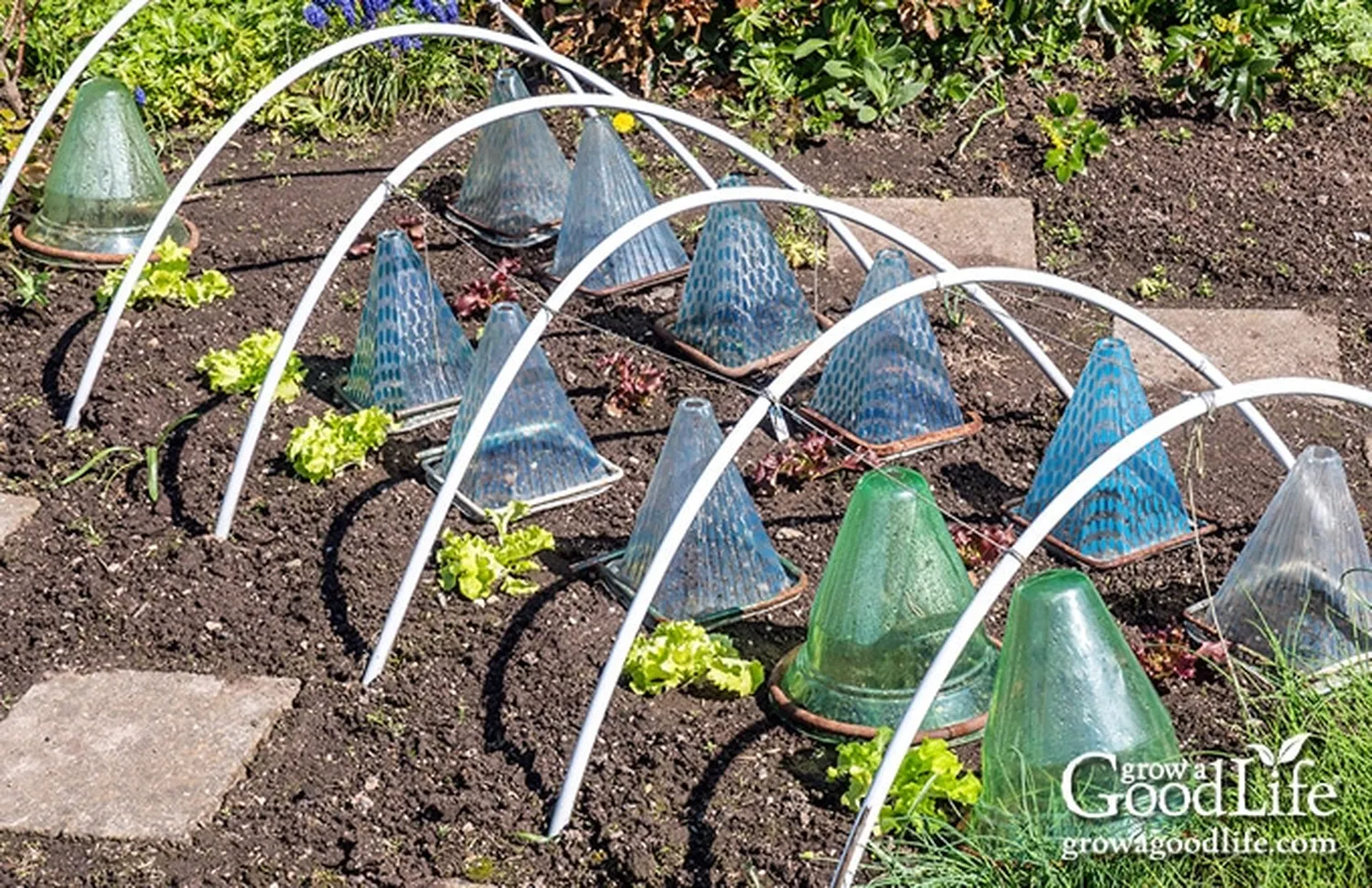 How to protect garden plants from a sudden frost - covering yard flowers with blankets overnight