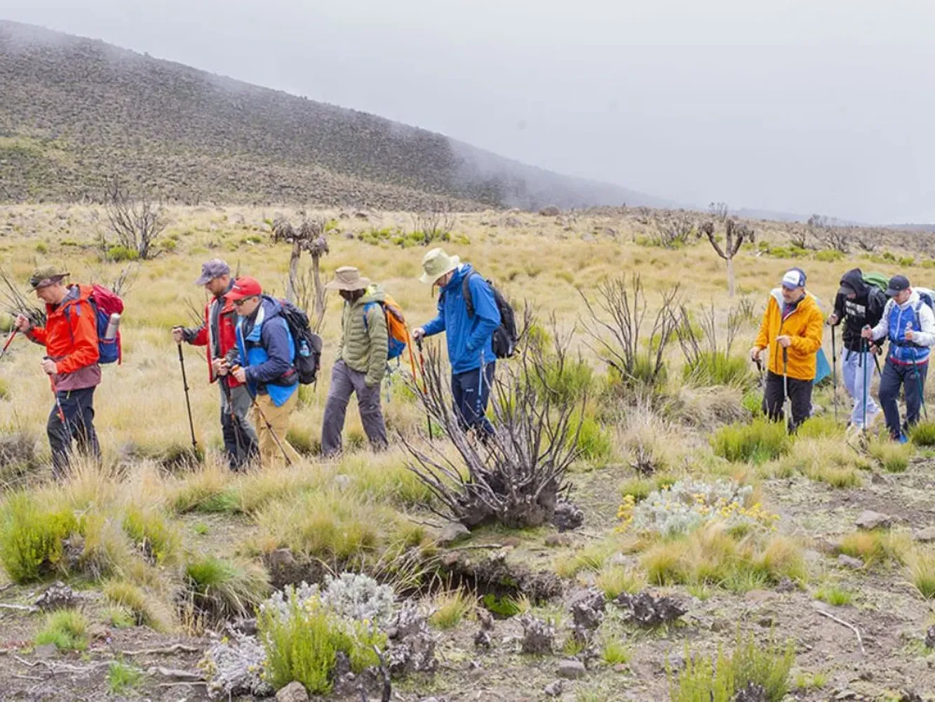 How to select reliable Lemosho route multi-day trekking operators on Mount Kilimanjaro
