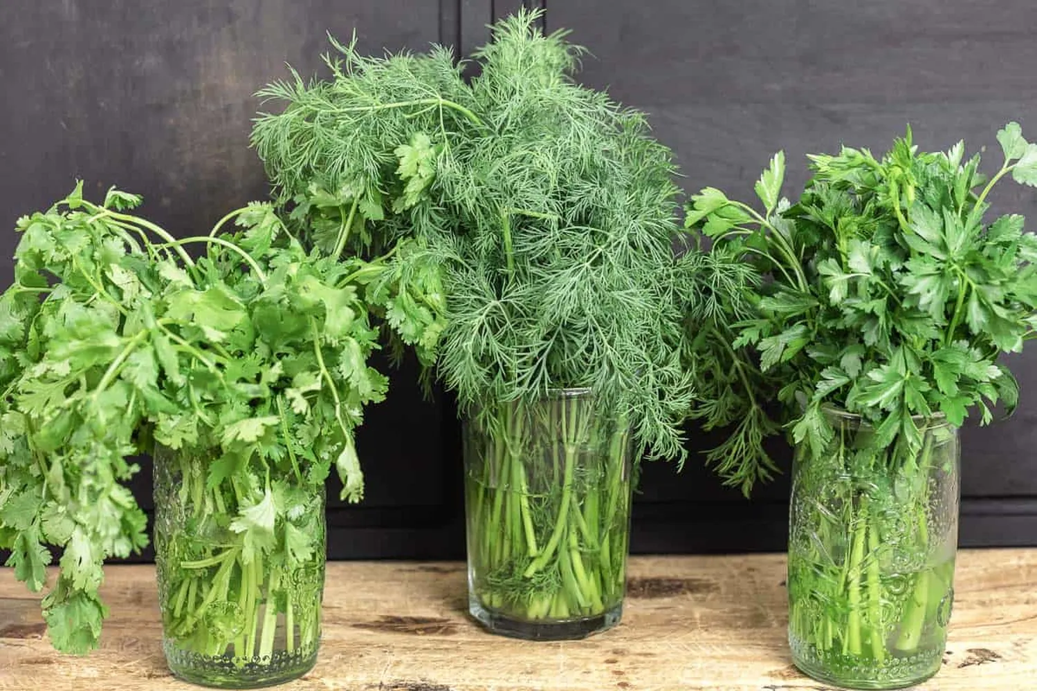 How to store fresh coriander and parsley for a long time - Best herb storage methods