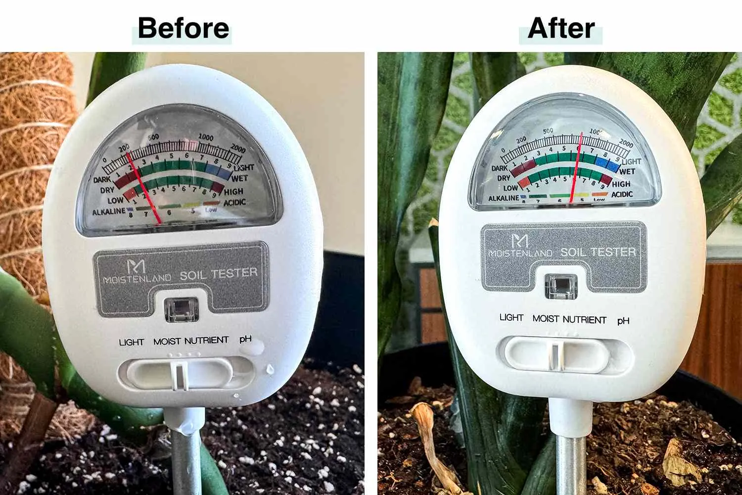 How to test soil moisture after heavy rainfall - testing garden soil drainage and root zone saturation