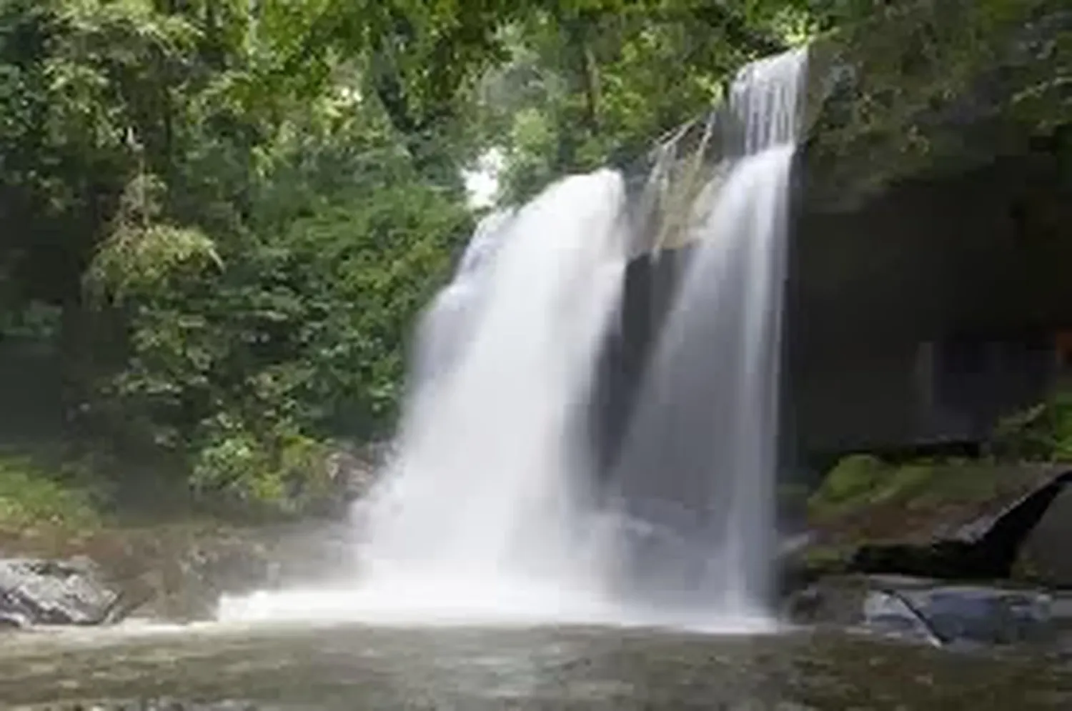 How to trek Sanje Waterfalls in Udzungwa Mountains National Park - dense jungle hiking path with high waterfalls