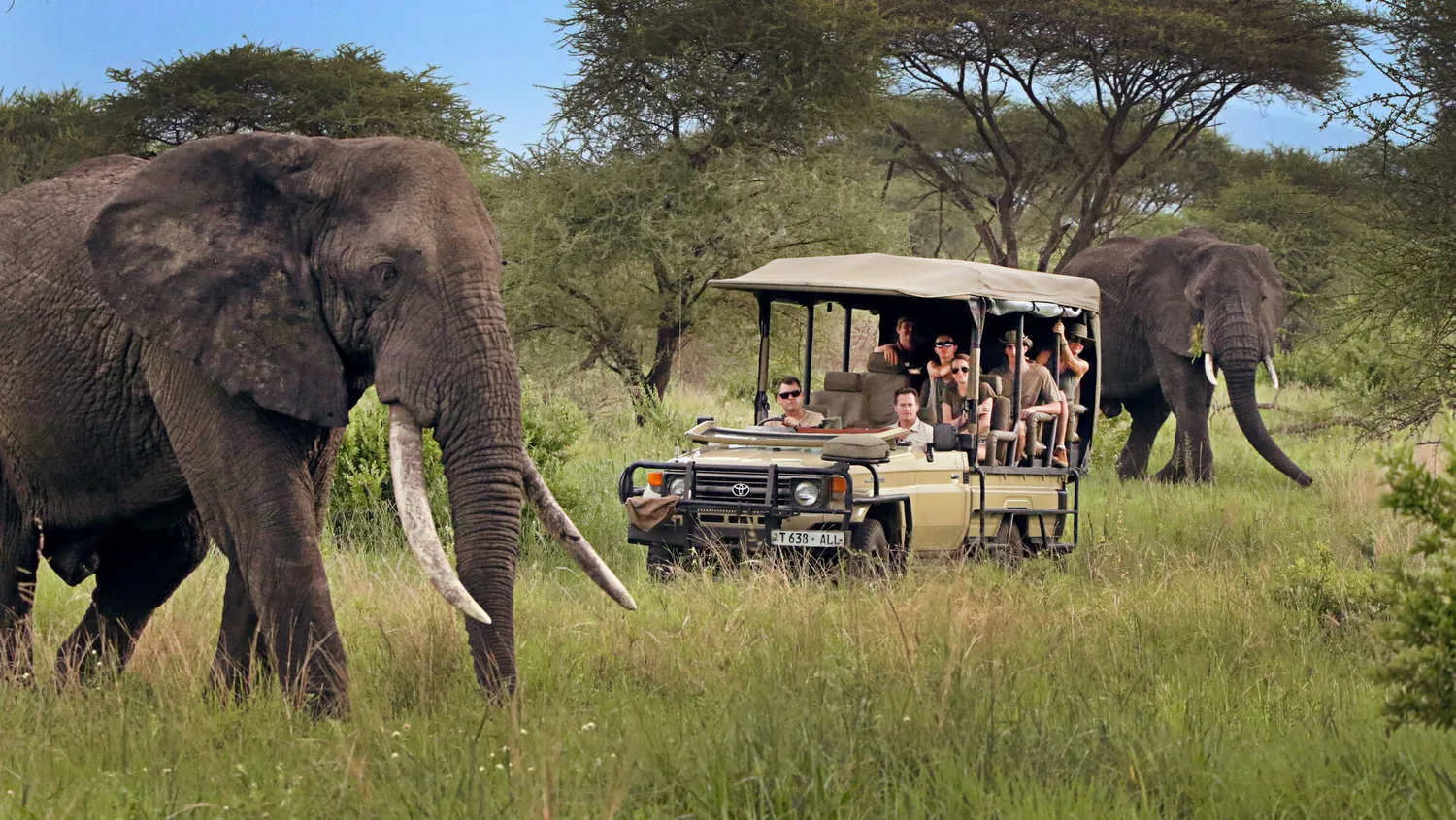 How to understand the cost breakdown of 8 days luxury fly in safari to Serengeti - Luxury aircraft on bush airstrip