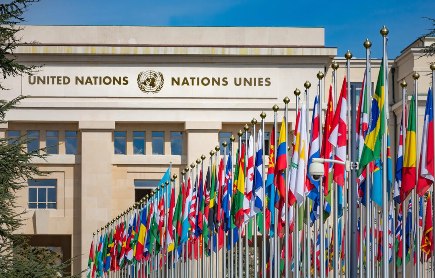 How to work for the United Nations UN political affairs professional guide