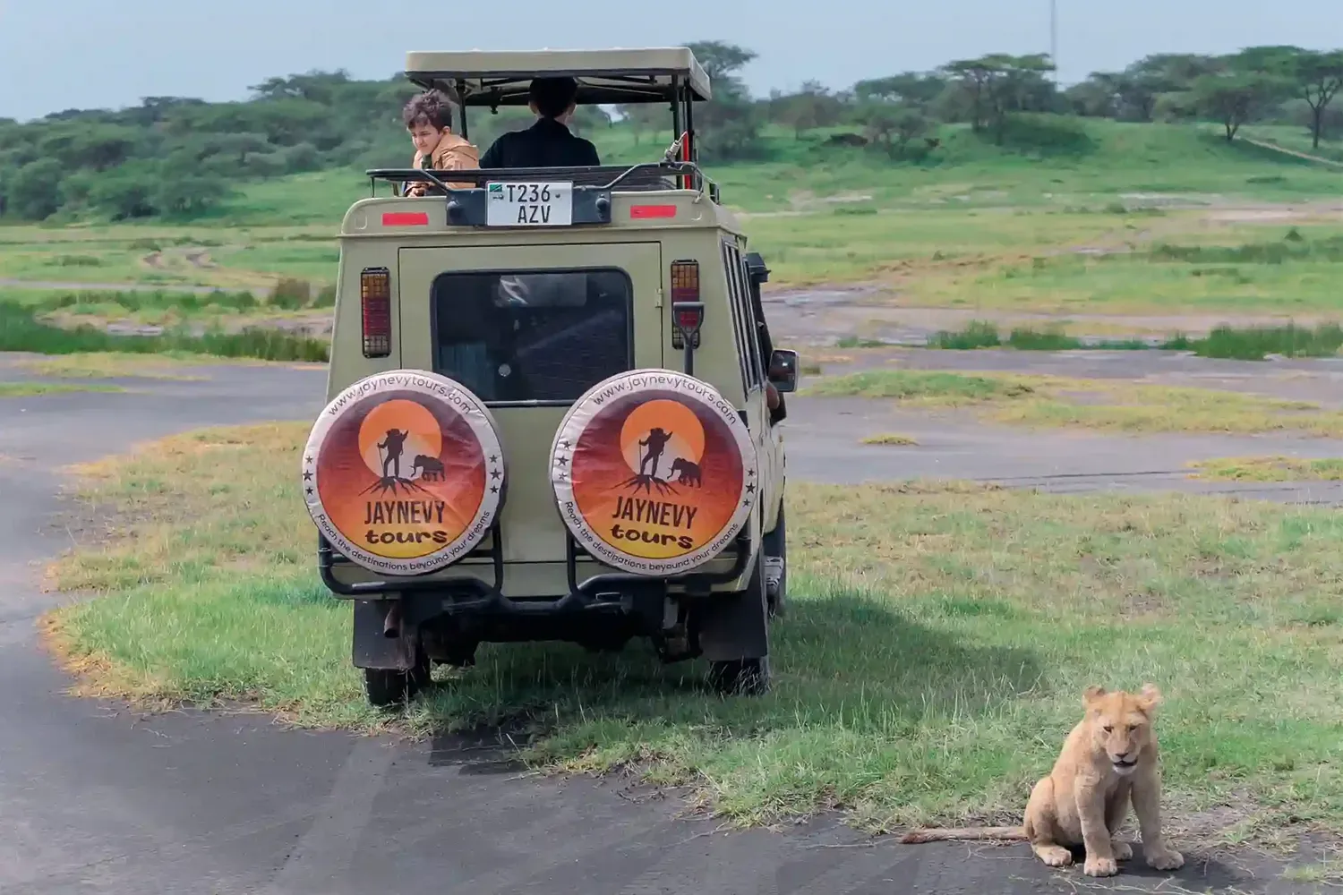 Jaynevy Tours safari vehicle tracking wildlife in Tanzania's Serengeti national park