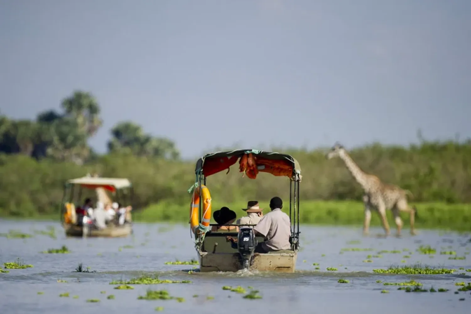 How to plan a remote safari to ruaha and nyerere national park during the dry season - wilderness game viewing